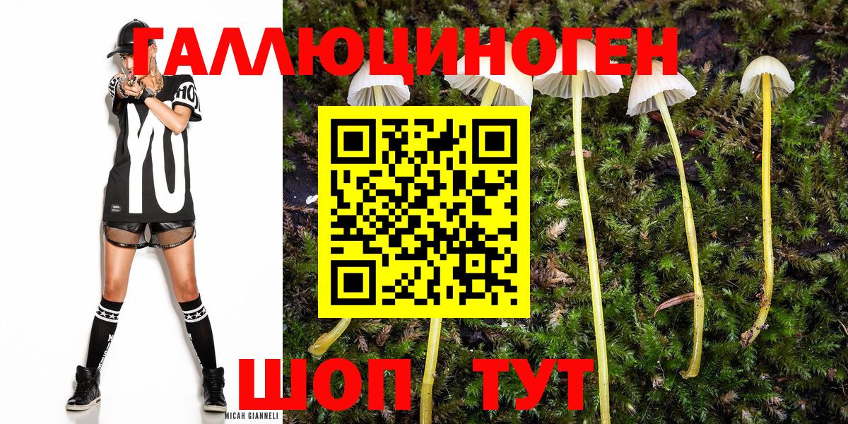 Псилоцибиновые грибы GOLDEN TEACHER  Вход с VPN  Белореченск 